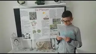 Referat Pflanzen