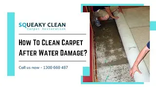 How To Clean Carpet After Water Damage | Best Cleaning Tips | Carpet Water Damage Restoration
