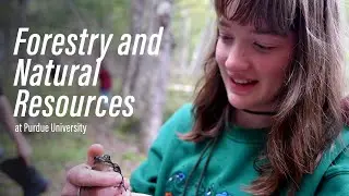 Forestry and Natural Resources: Explore the Possibilities in Purdue Agriculture