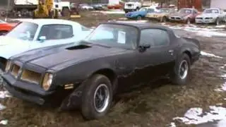 Missoula #1 Over 40 Firebird Trans Ams & SE Bandit Classics & Muscle cars