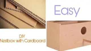 !!!How to make cardboard nest box for Budgie!!!