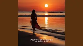 I Want to Know What Love Is (Instrumental)