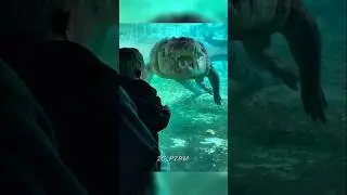 &ldquo;Power of Animal Transformation 💀