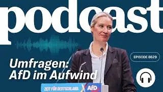 Merz und die Union: AfD im Aufwind in den Umfragen