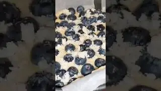 Blue berries Cake #delicious fruit cake #full recipe in my channel