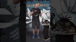 SP ME 2023 Splitboard Bindings | Blue Tomato