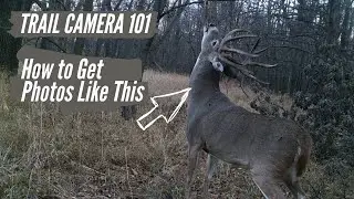 Trail Camera 101: Running Trail Cameras in Photo Mode
