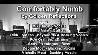 Comfortably Numb (Pink Floyd cover) by Golden Reflections