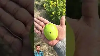 bada size Veer ka 🫒🫒🫒🫒
