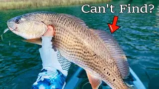 Slot Redfish Are ALWAYS Here!!!