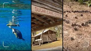 KAYAKING, HIKING & CABIN LIFE | Silver Springs State Park | Day 2