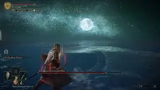 Rennala, Queen of the Full Moon Boss Fight (SPEEDRUN STRATS FOR 1ST PHASE???)