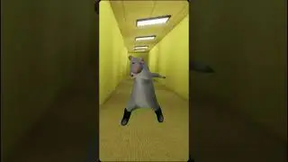 El rat&oacute;n bailando 😂