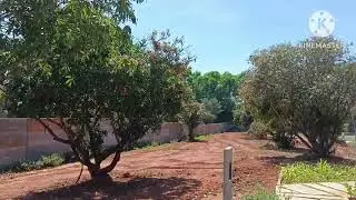 Last 3 Plots for sale in Prestige Park Drive Devanahalli Bangalore | Call for Booking 6360219373