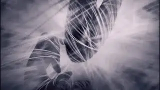 A Beast's nature, bare to all