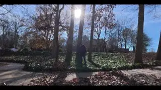 Yard Clean Up on Dec 27, 2025