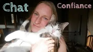 Comment j'ai gagn&eacute; la confiance de mon chat Absinthe &hearts;