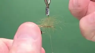 CDC Rocken - One Fly A Day