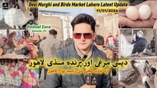Desi Murghi Mandi Lahore (Near Nadia Ghee Mill Rasheed Pura Lahore) Latest Update 11/01/2026 (AZ-24)