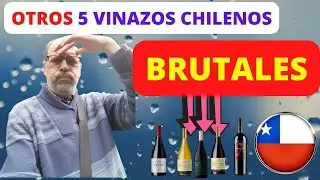 🍀  MEJORES VINOS CHILENOS ( 2&ordf; Parte ). --2023--. 5 Vinos Chilenos de OBLIGADO CONOCIMIENTO.
