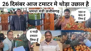 26 December 2025 आज टमाटर में थोड़ा उछाल है tomoto price today #Rohansabjiwala #cg #farming #food 