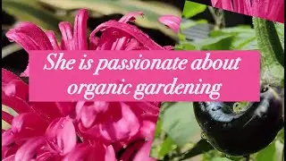 She Made The Most Beautiful Vegetable & Flower Garden By Herself Alone! Watch What She is Growing.
