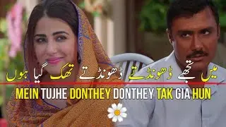 Parizaad Urdu Poetry Status| Parizaad Best dialogues | Parizad Episode 26 |#status  #parizaad#shorts
