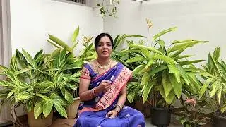 Narayana stotram | Sri Shankara charya virachitam | By Smt Vani Raghavendra 