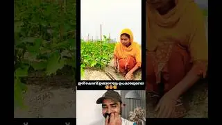 ഇങ്ങനെ യൊക്കെ ചെയ്യാമോ 🥰😂😜 #shorts #vairal #reaction #lady
