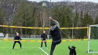 Le partenaire de Mathias Berntsen au Beach-Volley : Son chien