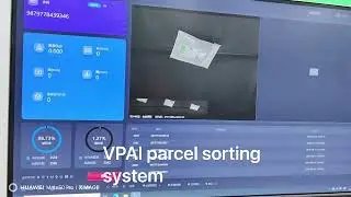 VAPI parcel sorting system
