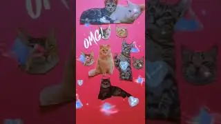My Dearest💃❤️ || WRONG HEAD CHANGE || Oye Playful Puzzle #shorts #games #puzzle #fun #funny