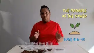 Kid's Ministry | The Parable Of The Sower