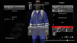 DayZ online
