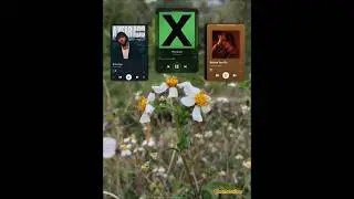 Mashup a years ago x photograph x before you go #fyp #fypage #ayearsago #photograph #beforeyougo