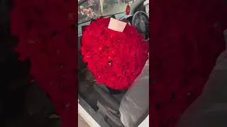 Red Roses | Big Bouquet | 20 Rose | Birthday | Anniversary | Atiq Flowers | Karachi Delivery