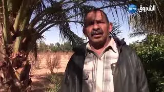 المنيعة :غياب الكهرباء الفلاحية يؤرق فلاحي حاسي غانم