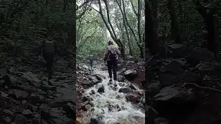 Andharban Jungle Trek😍 #andharban #maharashtra #sahyadri #ig #pune #nature #trekking #trek #monsoon