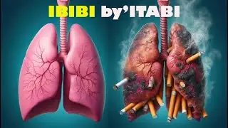 Dore ibyago ndetse n&rsquo;ibibi byo kunywa itabi .itabi ni uburozi bubi burimbura umubiri w&rsquo;umuntu