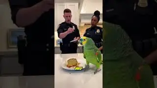🦜💀 Parrot ROASTS Police Officers Over Cake&hellip; Epic Burn! 😂🍰