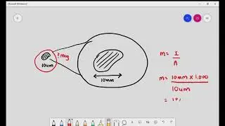 1-1 Introduction to light microscope & magnification; Cambridge AS & A Level Biology (9700)