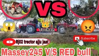 🔥🦁😎👑Red bull🐂 V/S Massey245😎👑🔥|| दोनो में बड़ा मुकाबला😱|| Tochen Bamboli💪🦁🔥😎