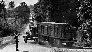 Germany Relied on 2.8 Million Horses &mdash; America Answered With Just 6,000 Trucks