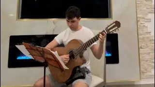 Snowflight - Andrew York. Cover by Nolan Vayzman