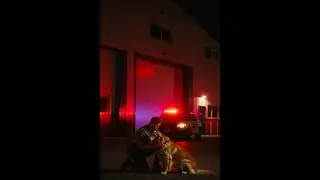 Silent loyalty saves lives  The story of a brave dog who guarded his owner from danger#stories#viral