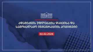 ადამიანის უფლებათა დაცვისა და სამოქალაქო ინტეგრაციის კომიტეტის სხდომა - 02.02.2026