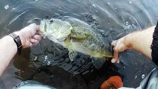 Worm Fishing for BIG LONG ISLAND LUNKERS - Worming for LUNKER LARGEMOUTH BASS