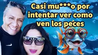 Casi mu***o por intentar ver como ven los peces. #seatrek