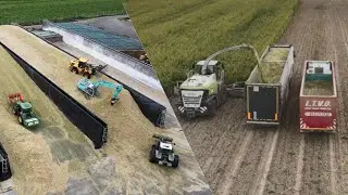 ENSILAGE XXL EN FRANCE/champ+silos