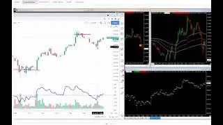 Fat Tail Process - Spot the Big Clues - Trade Edge